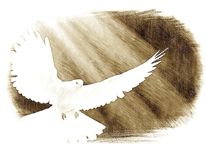 Strömmar av levande vatten