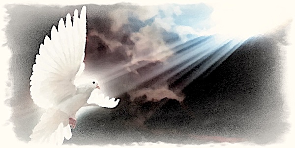 Guds osvikliga löfte