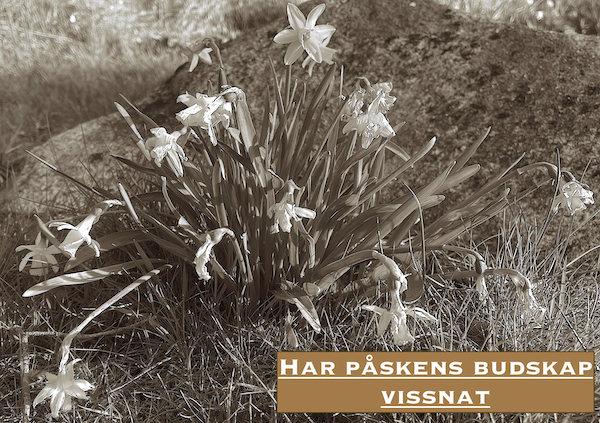 Trofasta – eller svikare