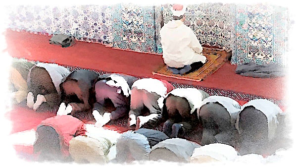 Vårt muslimska missionsfält