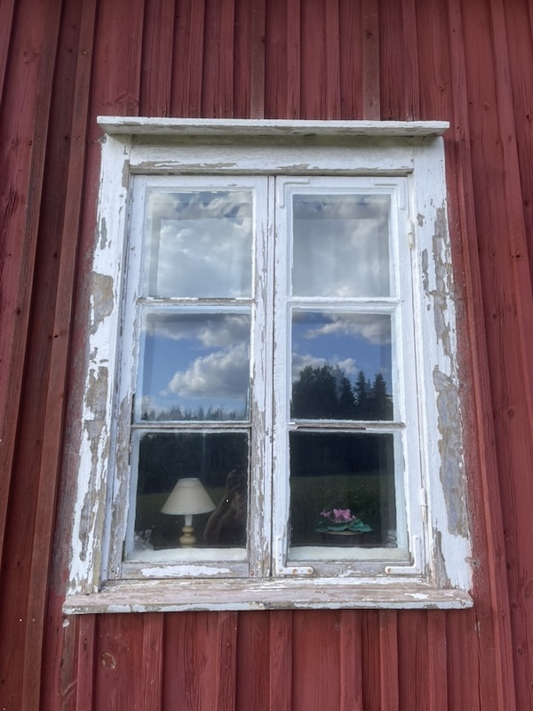 Medveten vård