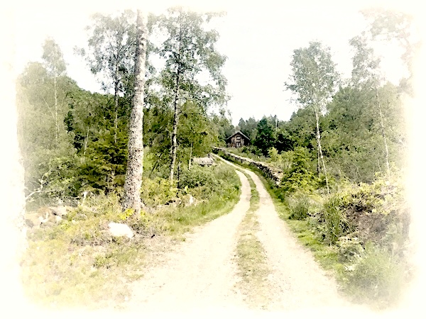 Vägröjare